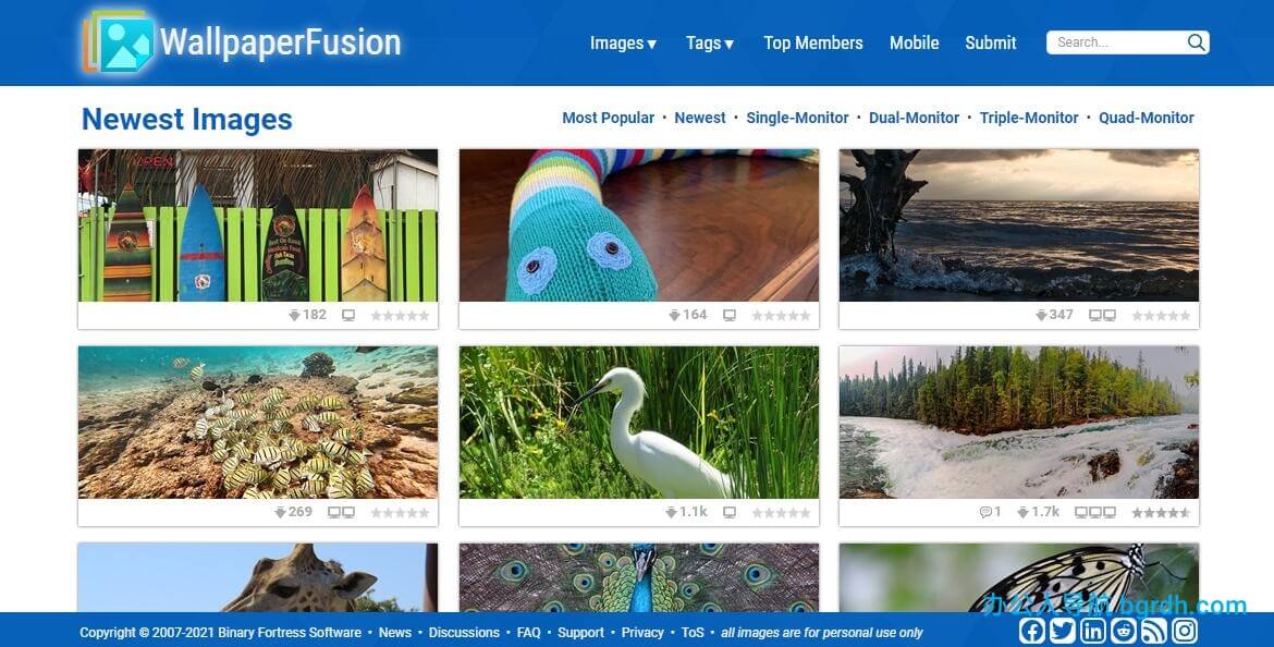 wallpaperfusion插圖