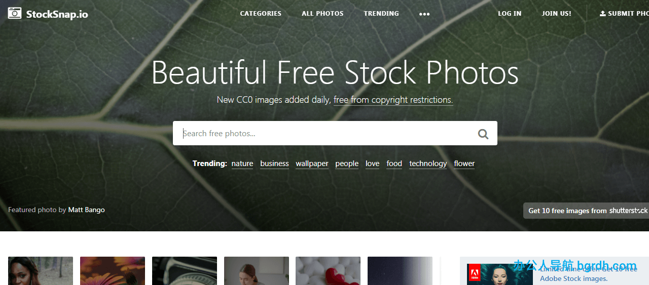 StockSnap插圖 StockSnap插圖