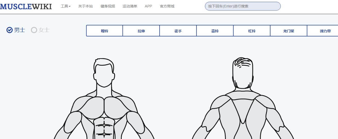 musclewiki插圖1