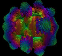 毒蘑菇顯卡測(cè)試