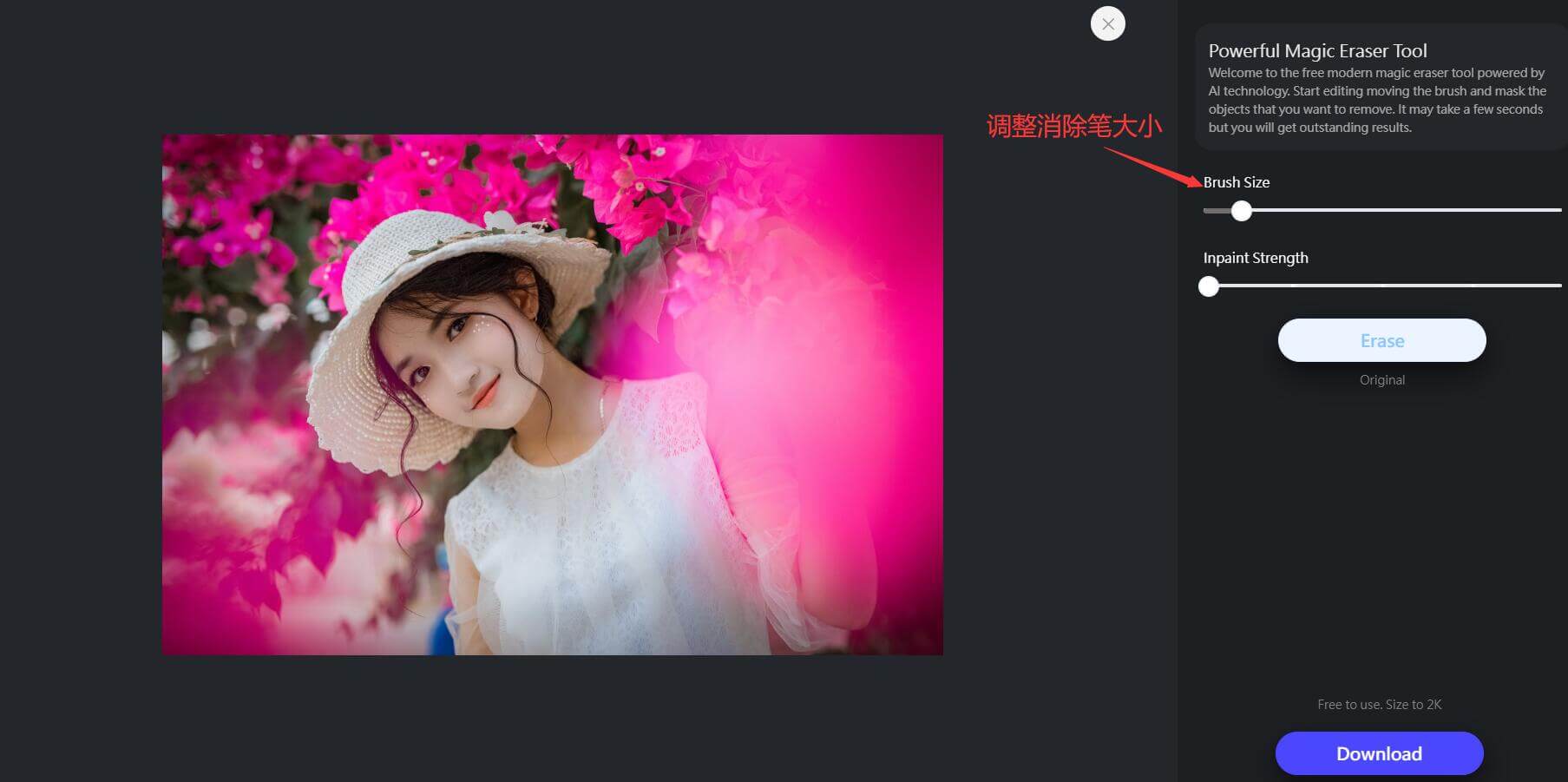 Object Remover插圖 Object Remover插圖