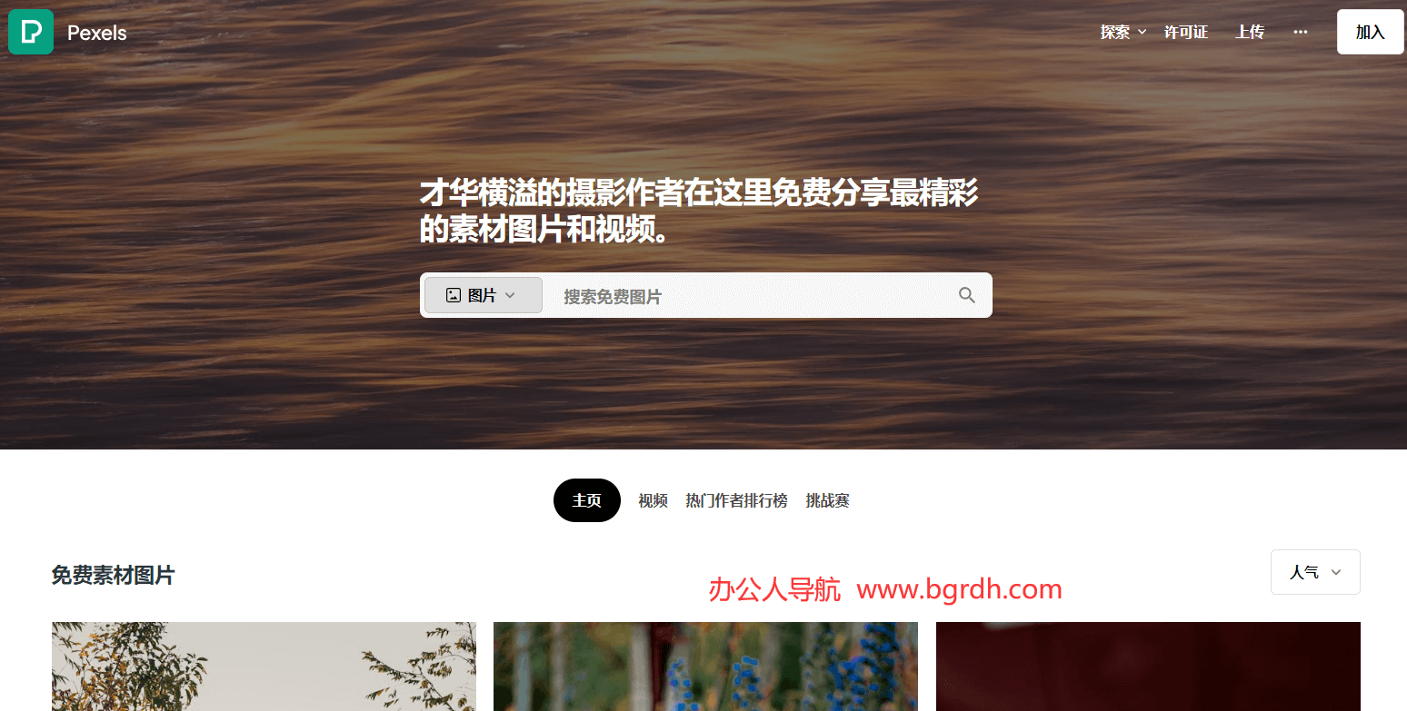 Pexels插圖 Pexels插圖