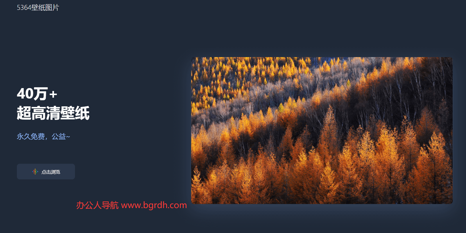 5364壁紙圖片插圖 5364壁紙圖片插圖