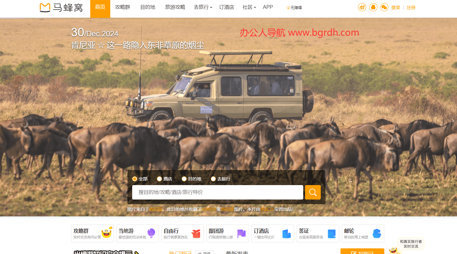 馬蜂窩插圖 馬蜂窩插圖