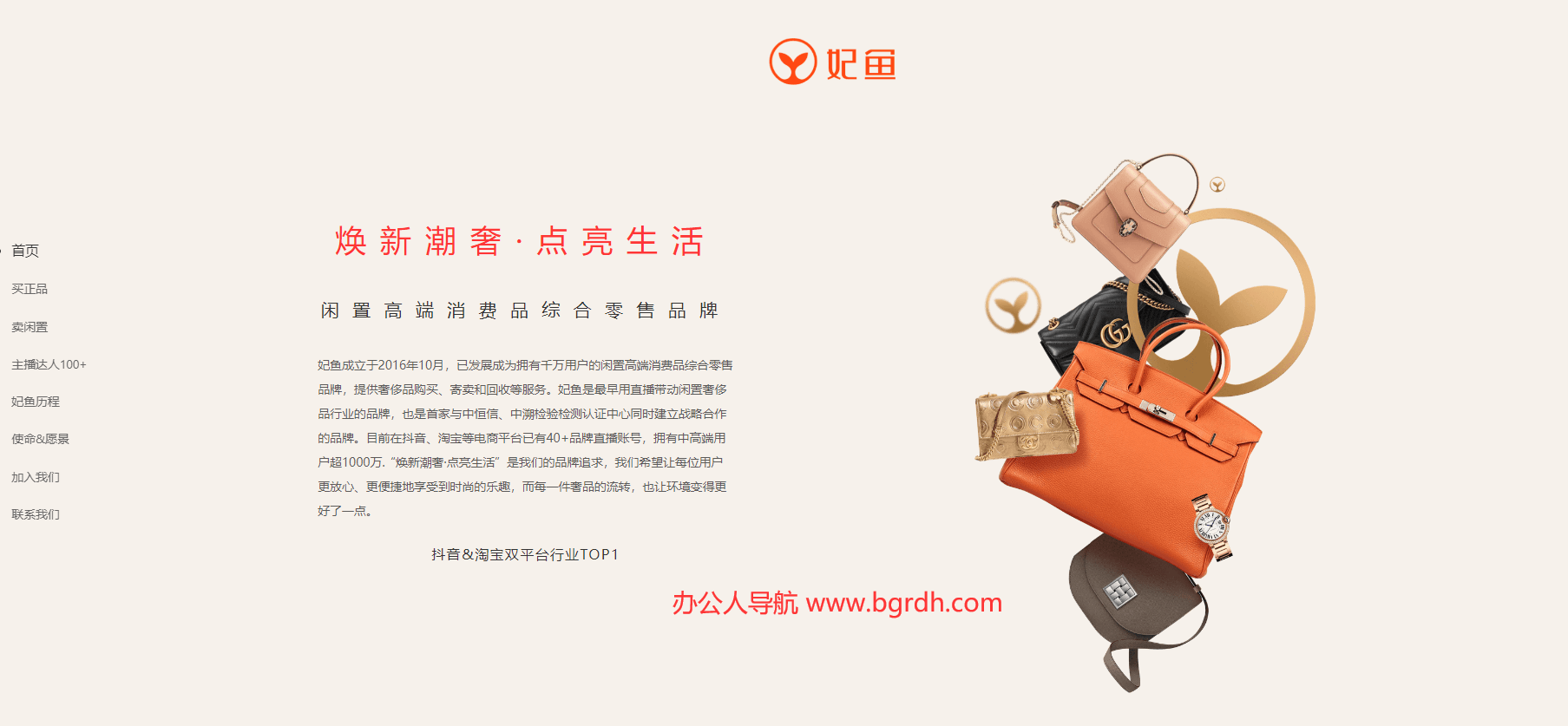 妃魚插圖 妃魚插圖