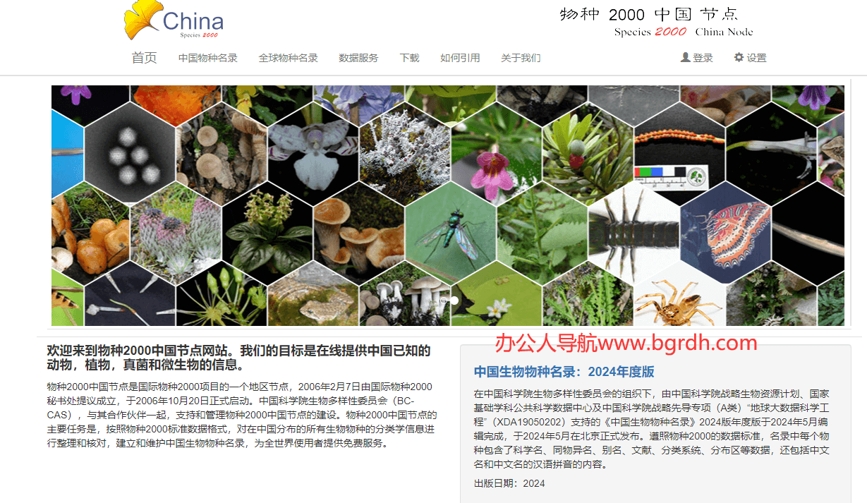 物種2000中國節點插圖