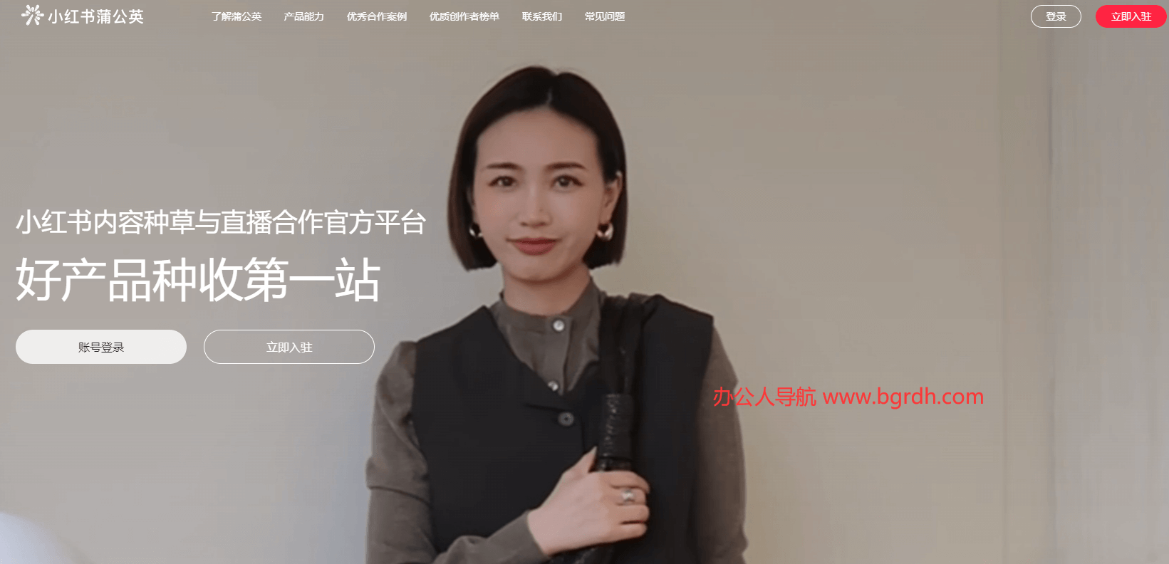 小紅書蒲公英插圖 小紅書蒲公英插圖