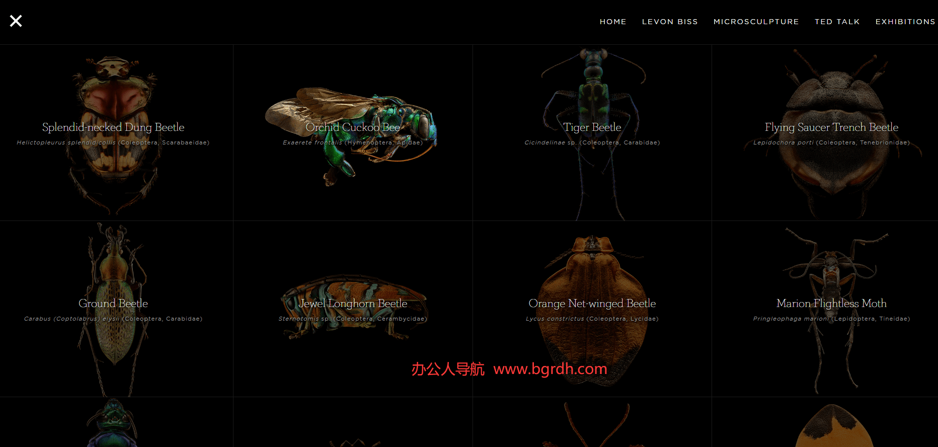 Microsculpture插圖