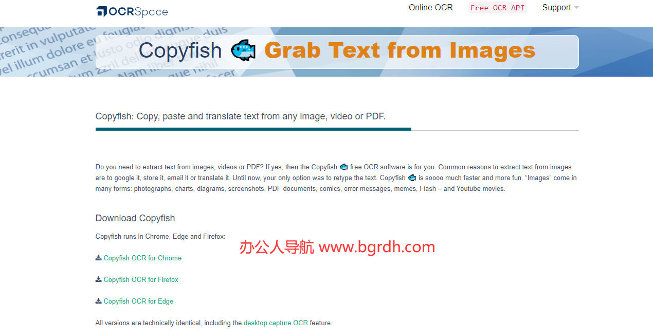 Copyfish插圖1 Copyfish插圖1