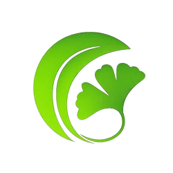 白果AI論文助手