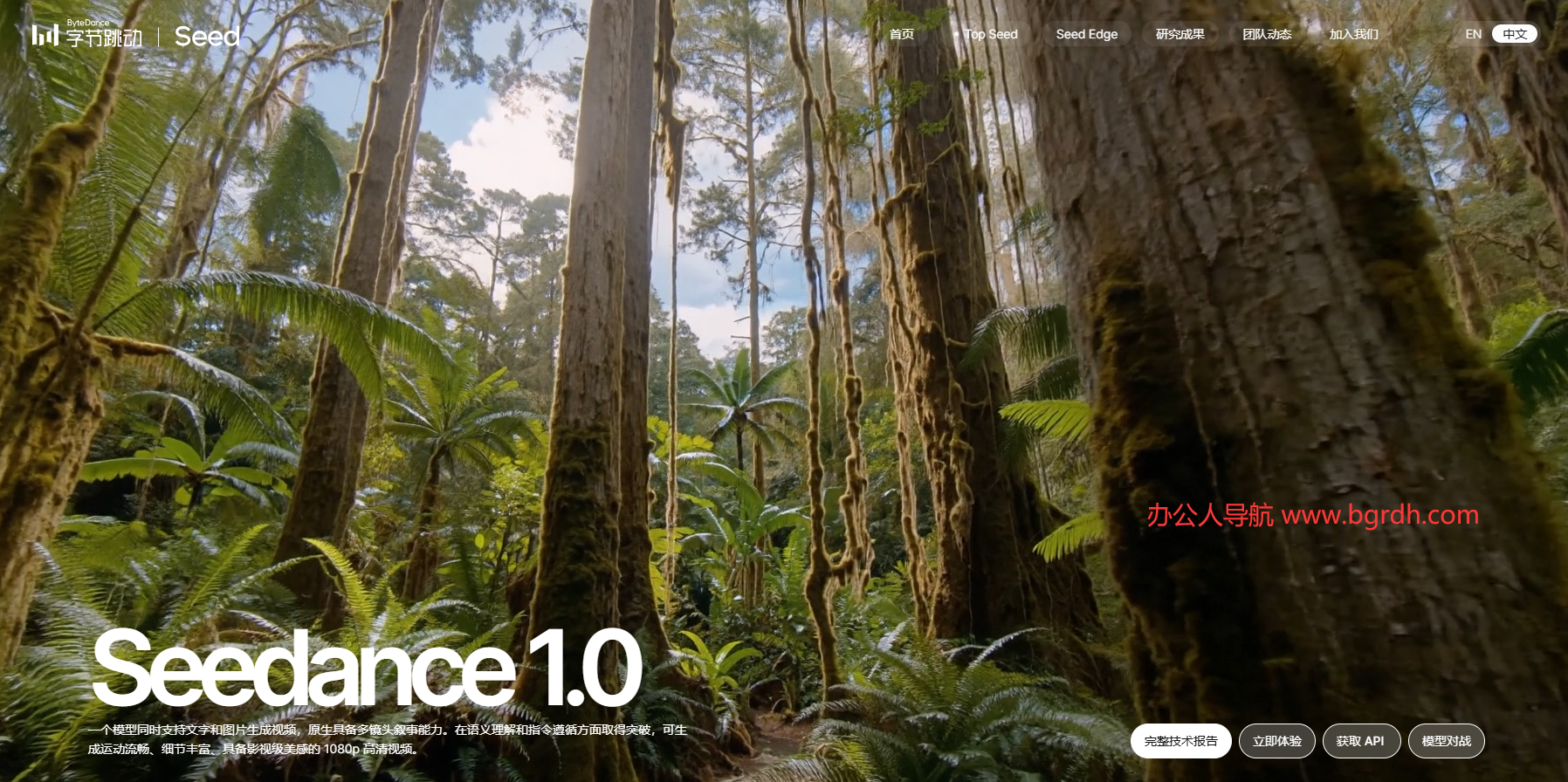 Seedance插圖 Seedance插圖